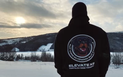 Suņu transportēšana